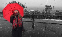 Welat de de varan û vewre varena