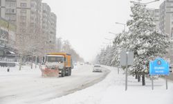 Şaredarîya Amedî nêverda wa vore erd ser o bimano