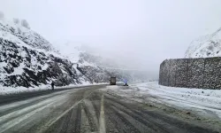 Rayîrê Çolîg û Dîyarbekirî vore ra amo qefilyayîş