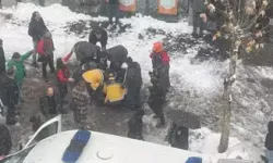 Çewlîg de vewre gan girewt: Cinîyêke merde