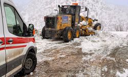 Amed de rayîrê dewan ke vewre ra qefilyaybî ameyî akerdiş