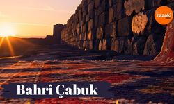 Bahrî Çabuk seba Roja Ziwanî ya Dayîke qisey keno