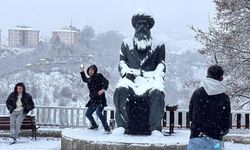 Nufusê Dêrsimî kêmî bîyo