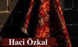 Cigêrayox Haci Ozkalî ra mesajê Roja Ziwanê Dayîke ya Dinya