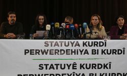 Deklarasyon aşkere bi: Kurdkî rê statû, perwerdeyê ziwanê dayîke
