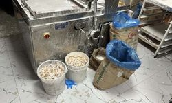 Amed de îmalatxaneyo bêrûsat: Dest ronîya tonêk loqum ser!