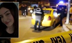 Amed de Aleyna Yaray a 22 serre amey qetilkerdiş