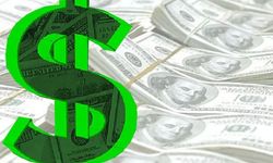 Lîraya Tirkî helîyena: Dolarî 44 lîra vîyarna