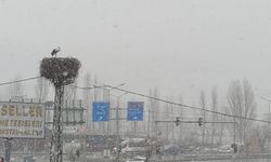 Mêmanî wisarî (leglegî) emser lez ameyî Çewlîg