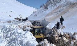 Dêrsim: Rayîro girewte nêmend