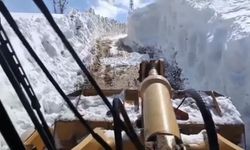 Çolîg de bi metrayan vore esta hema