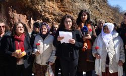 Cinîyê Dêrsimî Zîyara Ana Fatma de yê