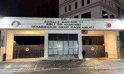 Amed de cinîyêk kişîyaya