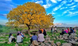 Sêwregi de yew Dara Zerde ya bimbareke