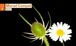 PÊKEWTIŞ Û PÊKERDIŞ