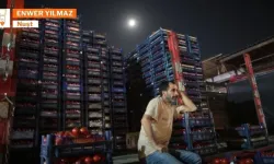 “Cilê feqîrî tim kûyenê telî ya”