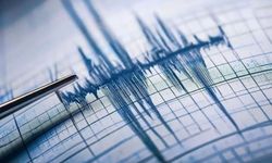 Xarpêt de erdlerz bîyo