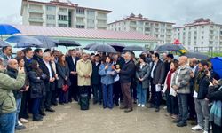 Demirtaş û Mızraklı: Kewtişê ma yê zindanî senî polîtîk bi vejîyayîşê ma zî do wina bo