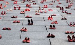 Tirkîya de aşma Adarê de 29 cinî ameyî kiştiş