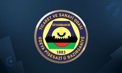 DTSOyî logoyê xo de ca da Kurdkî zî