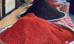 Welat de berekete varanî: Îsotê Rihayî şawîyeno 66 welatan