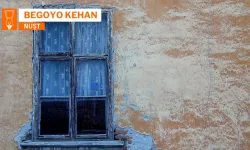 Wareyê Pîranî de vateyê verênan rê ewnayişêk