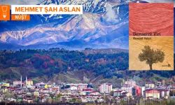 Romanê Newzat Valeri “Demserrê Vîrî” ser o