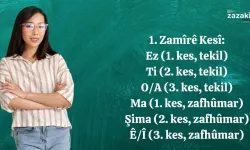 Standardê zamîran ê bi Zazakî senî ê?