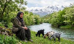 Serdê Pîre/Bîjekê Pîre (Ozcan yılmaz)