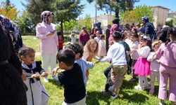 Zarokîstan de Şayîya Roja Mayan