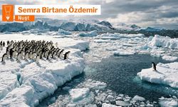 Germinîya globale û vurîyayîşê îklîmî
