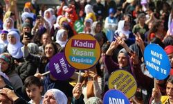 Aşmêk de 25 cinîyî ameyê kiştiş