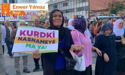 Polîtîkayê asîmîlasyonî û xemsarîya ma: Zazakî bêwayîr a?