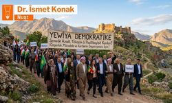 Yewîya demokratîke