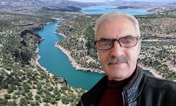 Şîîra Ahmet Tekdemîrî ya bi Zazakî veng da