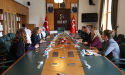 Mayanê Aştîye Koma MHPyî zîyaret kerd