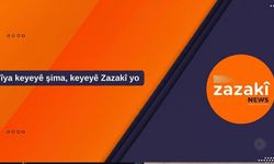 Zazakî Newsî hewteyêk de hewt makaleyî weşan kerdî