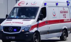 Tirmê dadîya panc gedeyan ame vînayîş