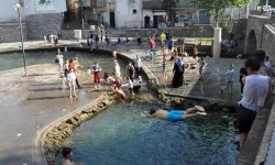 Plajê tutanê Dîyarbekirî; Awa Anzeleyî
