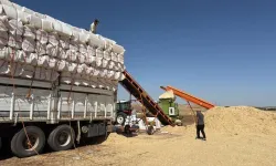 Dîyarbekir de binê germê 40 dereceyan de simer bar kenê!