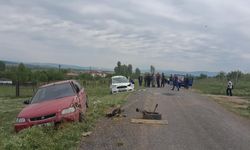 Roşanê Qurbanî de 70 kesî qezaya trafîkî de merdê