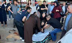 Xarpêt de kutikî yew cinîye gaz kerd