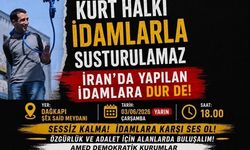 Do Amed de vera dardekerdişan bêrê têhet: Bêveng memanê!