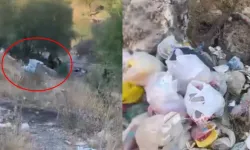 Dewa Selmanî ya rindeke ya Amedî bîya çopxane!