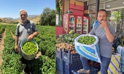 Îsotê Çêrmûge vejîyayo: Kîloyê ey 450 TL yo