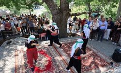 Festîvala Kultur û Xoza ya Dêrsimî bi rayraşîyayîşî ameye destpêkerdene