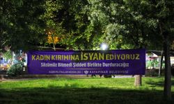 Amef de vera şîdetî do rêzeçalakî bêrê viraştiş