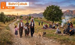 Bextîyarî û Şahî-1