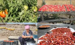 Şarê Dêrsimî hadrekarîya zimistanî keno