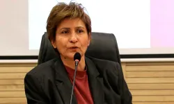 Sereka Meclîsê DTSOYî Nevîn Îl şîya heqîya xo ser